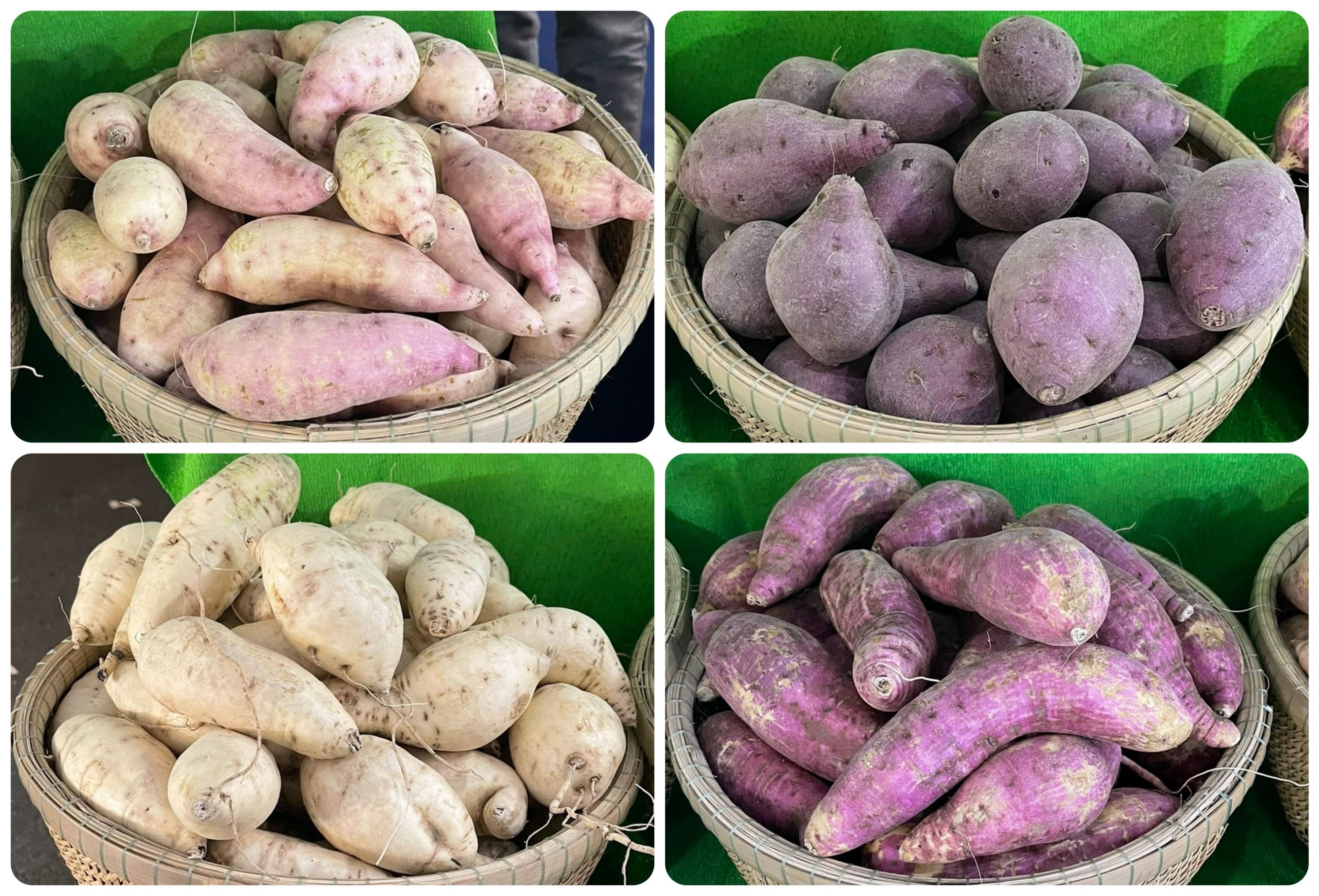 Khoai lang Bình Tân