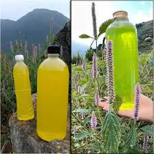 Mật ong bạc hà Hà Giang