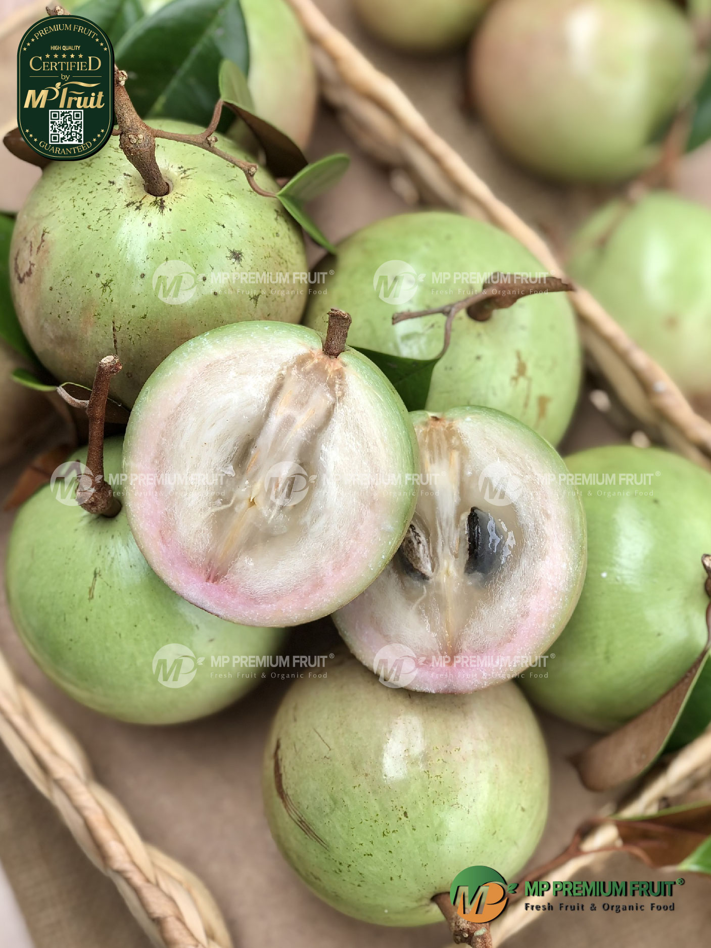 Vú sữa Lò Rèn